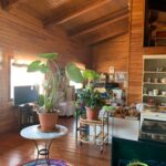 WhatsApp Image 2023-03-13 at 12.15.38 (7)