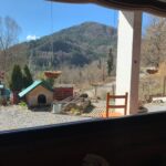 WhatsApp Image 2023-03-13 at 12.15.39 (6)